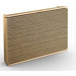 Bang & Olufsen Beosound Level – Zboží Živě