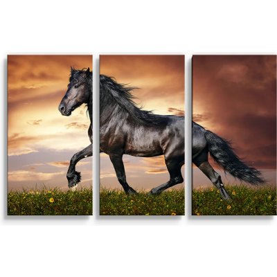 Sablio Obraz - 3-dílný Friský kůň - 120x80 cm – Hledejceny.cz