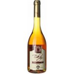 Tokaj & Co Tokajské vína 4-putnový sladké bílé 2018 12% 0,5 l (holá láhev) – Zboží Dáma