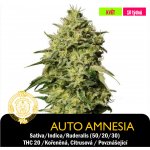 Drskunk Auto Amnesia semena eobsahují THC 1 ks – Hledejceny.cz
