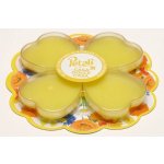 Aladino Petali vonné vosky Domov sladký domov 4 ks – Zboží Mobilmania