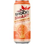 Big Shock! Smart Mango & Lychee 0,5 l – Zboží Dáma
