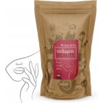 Protein&Co. Collagen Beauty 340 g – Hledejceny.cz