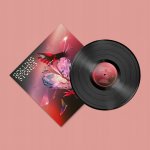 Rolling Stones - Hackney Diamonds LP – Zboží Dáma