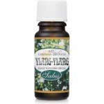 Saloos esenciální olej Ylang - Ylang 10 ml – Zbozi.Blesk.cz