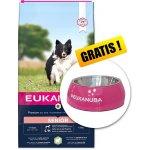 Eukanuba Senior Small & Medium Breed jehněčí s rýží 12 kg – Hledejceny.cz