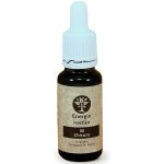 Energie rostlin Bachovy esence 8 Chicory Esence nezávislosti 20 ml – Hledejceny.cz