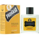 Proraso Wood & Spice balzám na vousy 100 ml – Sleviste.cz
