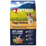 Ontario Puppy Medium Lamb & Rice 2 x 6,5 kg – Hledejceny.cz