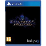 Shadows: Awakening – Zboží Dáma