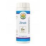 Salvia Paradise Zinek Zinc bisglycinate 60 kapslí – Hledejceny.cz
