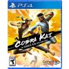 Hra na PS4 Cobra Kai: The Karate Kid Saga Continues