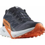 Salomon Sense Ride 5 GTX M L47459400 india ink/carbon/dragon fire – Hledejceny.cz