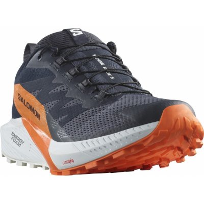 Salomon Sense Ride 5 GTX M L47459400 india ink/carbon/dragon fire – Hledejceny.cz