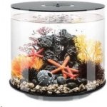 Biorb Tube černé MCR 35 l – Zboží Dáma