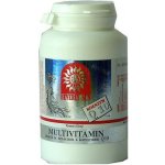 High Standard Product Multivitamin minerál s ženšenem 100 tablet – Hledejceny.cz