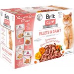 Brit Care Cat Flavour box Fillet in Gravy 12 x 85 g – Zboží Mobilmania