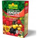 Hnojivo Agro Floria OM pro jahody a ovoce 2,5 kg