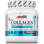 Amix Collagen Marine Peptan 300 g – Hledejceny.cz
