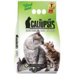 Caliopsis vůně lesa 5 l – Zboží Dáma