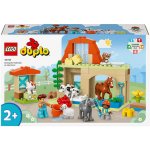 LEGO® DUPLO® 10419 Péče o včelky a úly – Hledejceny.cz