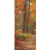 Tapety ForWall Fototapeta na dveře Podzimní les vlies rozměry 91 x 211 cm