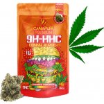 Canapuff 10-OH-HHC Donny Burger 0,2% THC 1 g – Zboží Mobilmania