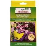 Desky lepové BIO PLANTELLA motýl 10ks – Zboží Dáma