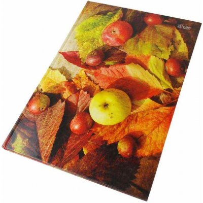 Papírny Brno Záznamní kniha A4 linkovaná 96 listů s rejstříkem – Sleviste.cz