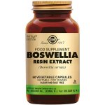 Solgar SFP Boswellia Resin Extract 60 veg. kapslí – Hledejceny.cz