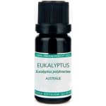 Nobilis Tilia éterický olej Eukalyptus 10 ml – Hledejceny.cz