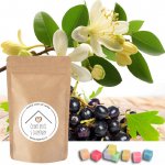 Od Janky Vonný vosk Černý rybíz s jasmínem 24 g – Zboží Dáma