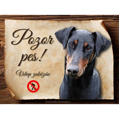 Sport hobby Cedulka Dobrman Pozor pes zákaz CP1507 15x11 – Zbozi.Blesk.cz