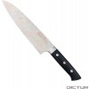 Kuchyňský nůž Dictum Japonský nůž Saji Rainbow Hocho Gyuto Fish and Meat Knife 210 mm