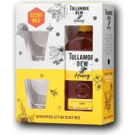 Tullamore Dew Honey 35% 0,7 l (dárkové balení 2 sklenice) – Hledejceny.cz