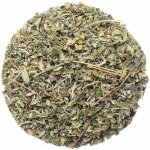 Nefertitis Damiána 20 g NF53504 20 g – Hledejceny.cz