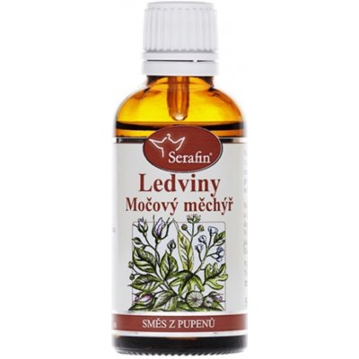 Serafin Ledviny a močový měchýř směs z pupenů 50 ml – Hledejceny.cz