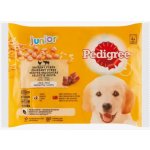 Pedigree Junior Kuřecí a krůtí maso v želé 4 x 100 g – Sleviste.cz