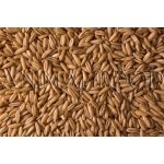 Beyers Loupaný oves 3 kg – Zboží Mobilmania