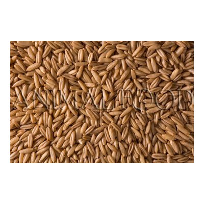 Beyers Loupaný oves 3 kg – Zboží Mobilmania