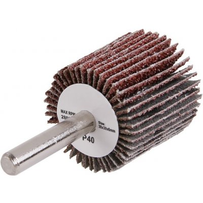 Levior Kotouč lamelový brusný 30 x 30 x 6 mm P40 21855 – Sleviste.cz