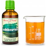 Bylinné kapky Ledebouriela TCM bylinné kapky tinktura 50 ml – Hledejceny.cz
