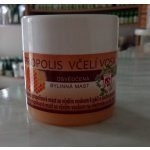 Království bylin osvědčená bylinná mast Propolis včelí vosk 150 ml – Sleviste.cz