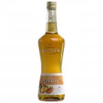 Monin Apricot 0,7 l – Zboží Mobilmania