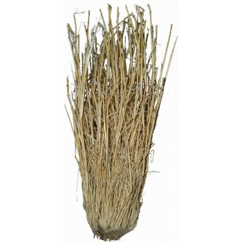 Lucky Reptile Grass Bushes 25-40 cm