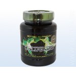 Scitec Nutrition L-Glutamine 600 g – Zboží Mobilmania
