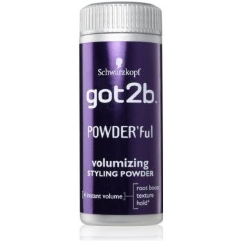 got2b Instatnt volumizer vlasový pudr pro objem 10 g od 139 Kč - Heureka.cz