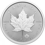 Royal Canadian Mint stříbrná mince Maple Leaf 2025 1 oz – Zboží Dáma