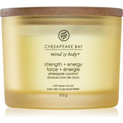 Chesapeake Bay Strength + Energy 312 g – Hledejceny.cz
