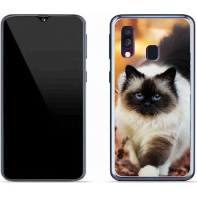 Pouzdro mmCase Gelové Samsung Galaxy A40 - kočka 1 – Zbozi.Blesk.cz